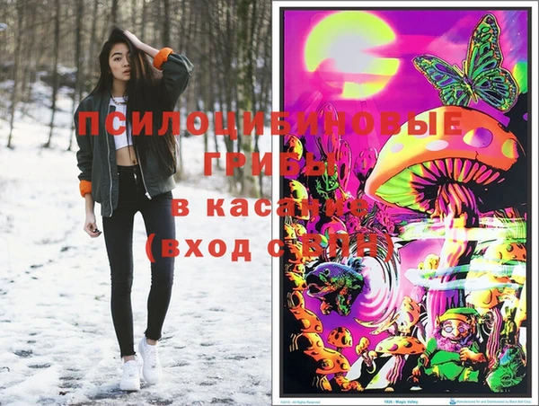 кокс Алзамай