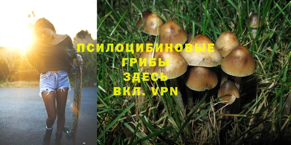 кокс Алзамай