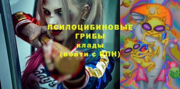 индика Алексеевка