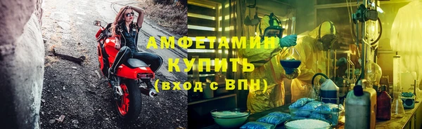 индика Алексеевка