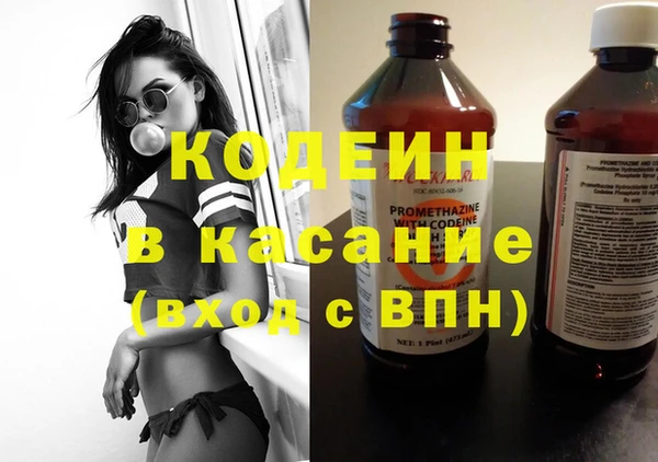 индика Алексеевка