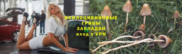 ALPHA PVP Алексин
