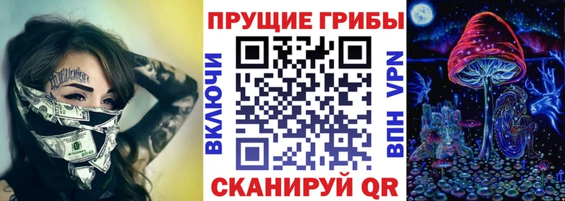 Галлюциногенные грибы Psilocybine cubensis  Заозёрный 