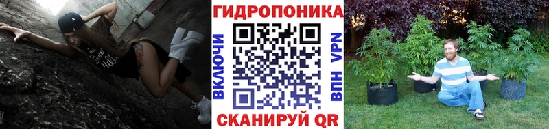 Марихуана семена Заозёрный